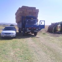rabahrabah822