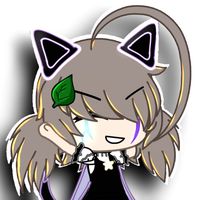 _..boh..___