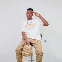 original sound - snkwiz66