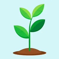 original sound - thesocialplant