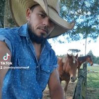 cowboyindomavel