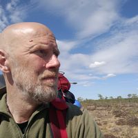 alkuperäinen ääni