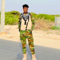 __will_qaran_55