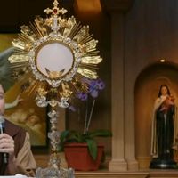 catolicoperseverante