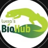 luccasbiohub