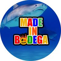 madeinbodeganyc