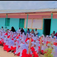 elwakdebcomprehensive1