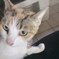 original sound - lachurea