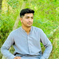 rizwanmagsi764