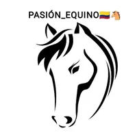 original sound - pasion_equino