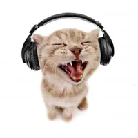 original sound - eternalslyrics