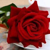 original sound - 34.music.com