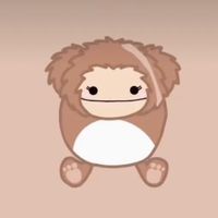 squishmallow_addict1