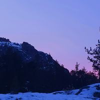 alifeuwillremember