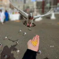 original sound - islamic__status11