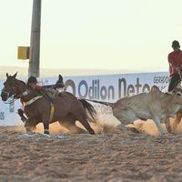 pedroofariass02