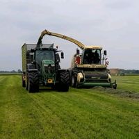 timm2811