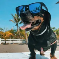 original sound - motivacoes48