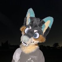 ctrl.slushy