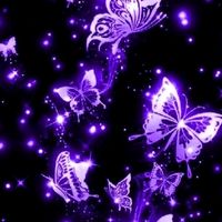 butterflies0015