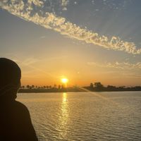 الصوت الأصلي