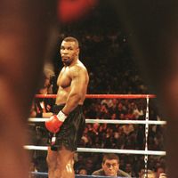 boxintalk_