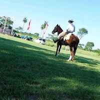 sevas__2502