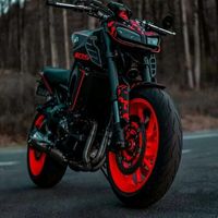 jame.503