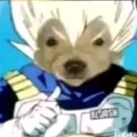 el que use el audio es hetero