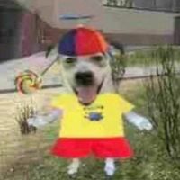 Never Gonna Catch Me - by @VanJess