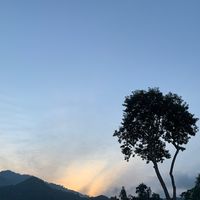 plalaifarm