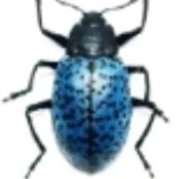 original sound - ele.m_