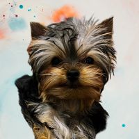 оригинальный звук