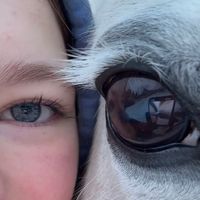 alaina.equestrian