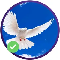 original sound - gabo20777