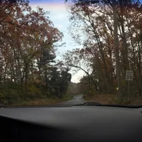 original sound - kiwi.l2