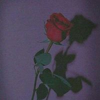 kiraedit0