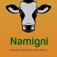 santuarioanimalnamigni