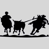 musicasdevaquejadabr