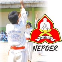 perisaidirinepur