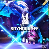 soyharry7ff0