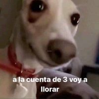 pancitodeluna