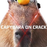 Sonne Capybara on crack gabber edit soundcloud