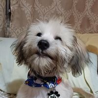 mike01hn