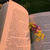iriss_books