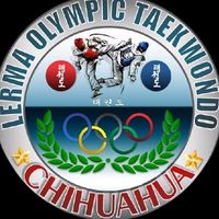 lermaolympictaekwondo