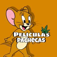 peliculaspachecas