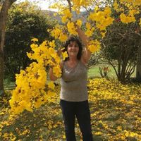 arligalvani56hotmil.com