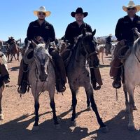 gilbertorendonalvarez