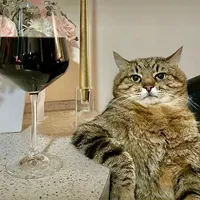 original sound - manini_215